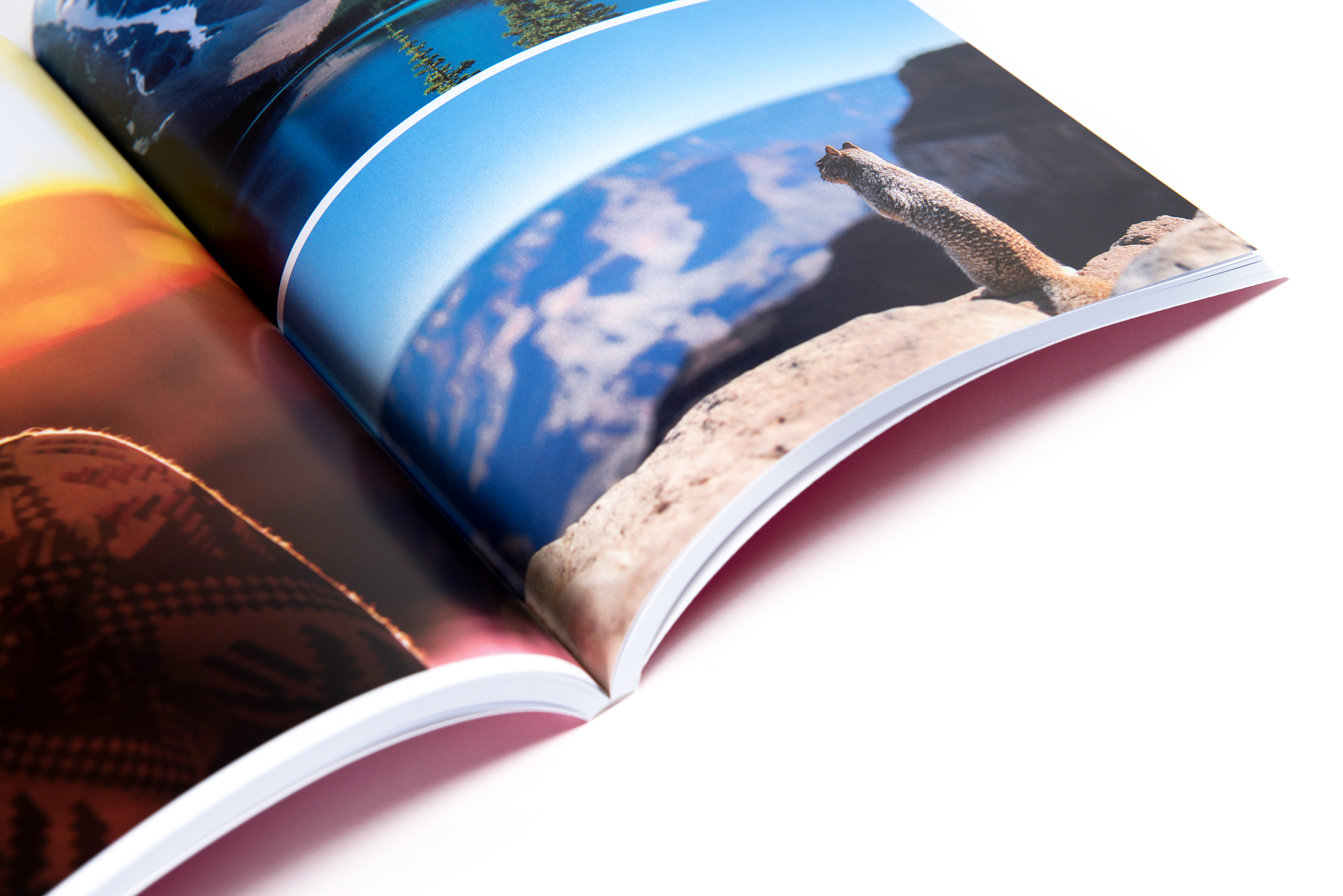 De onze Geurig Numeriek Fotoalbum: goedkoop adrukken en inbinden | Print&Bind